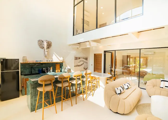 Moma Complex